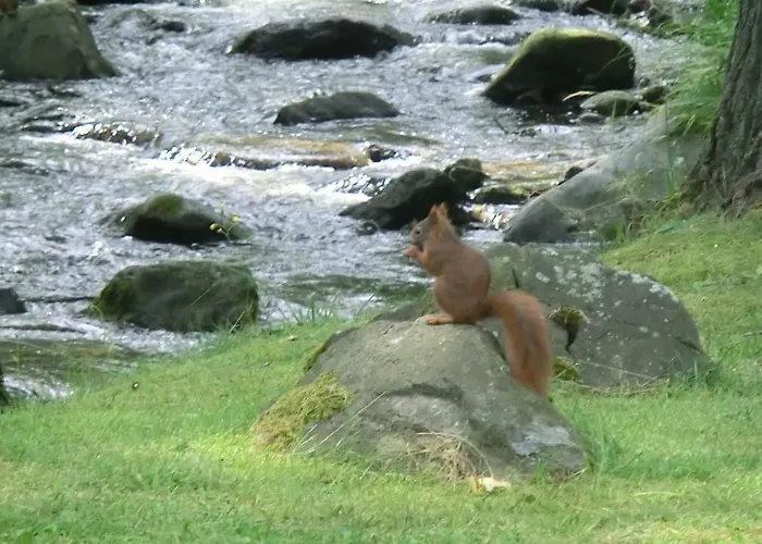 An Der Radau Lejlighed